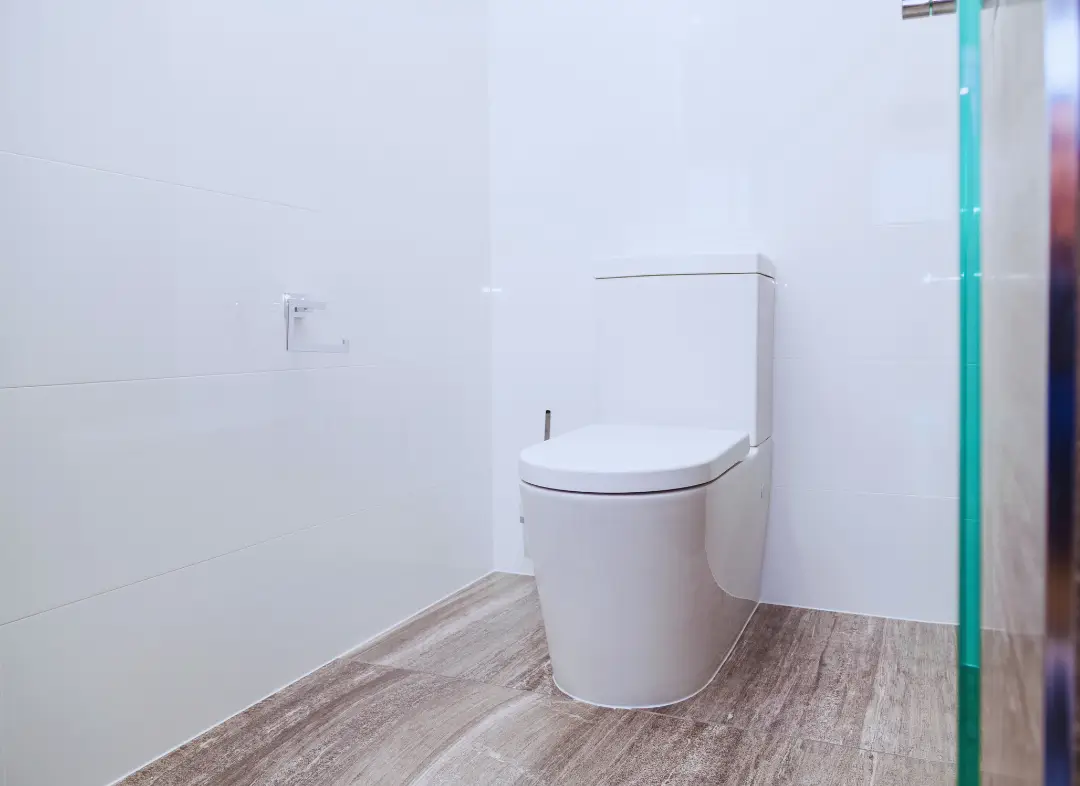 Remplacement de wc Manduel